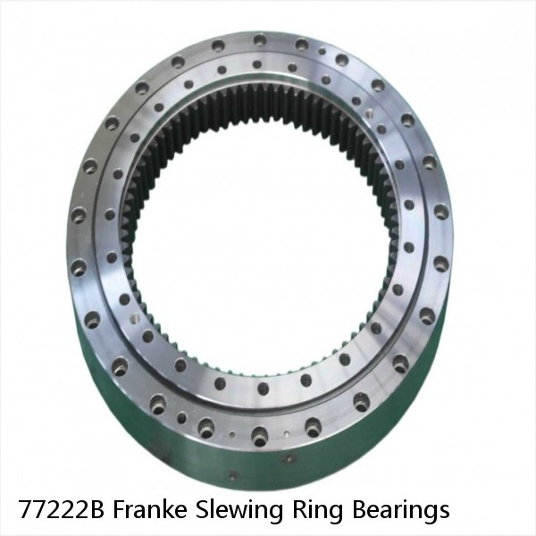 77222B Franke Slewing Ring Bearings