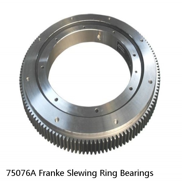 75076A Franke Slewing Ring Bearings