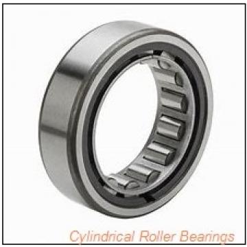 14.961 Inch | 380 Millimeter x 20.472 Inch | 520 Millimeter x 5.512 Inch | 140 Millimeter  CONSOLIDATED BEARING NNU-4976 MS P/5  Cylindrical Roller Bearings