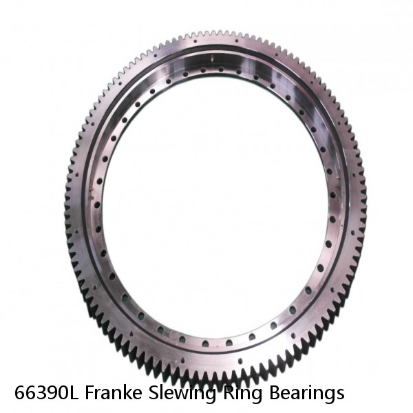 66390L Franke Slewing Ring Bearings #1 small image