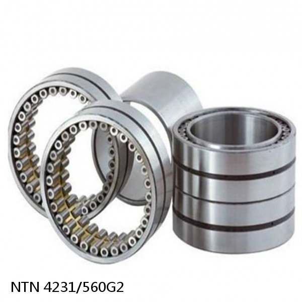 4231/560G2 NTN Cylindrical Roller Bearing #1 small image