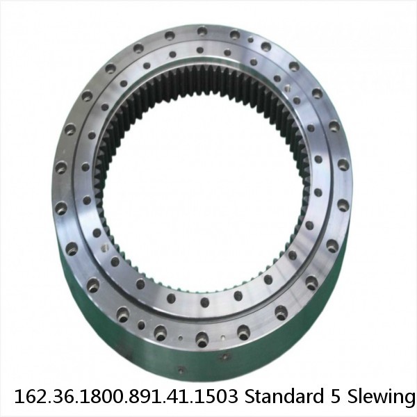 162.36.1800.891.41.1503 Standard 5 Slewing Ring Bearings #1 small image