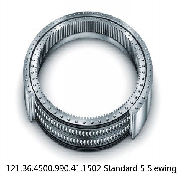 121.36.4500.990.41.1502 Standard 5 Slewing Ring Bearings #1 image