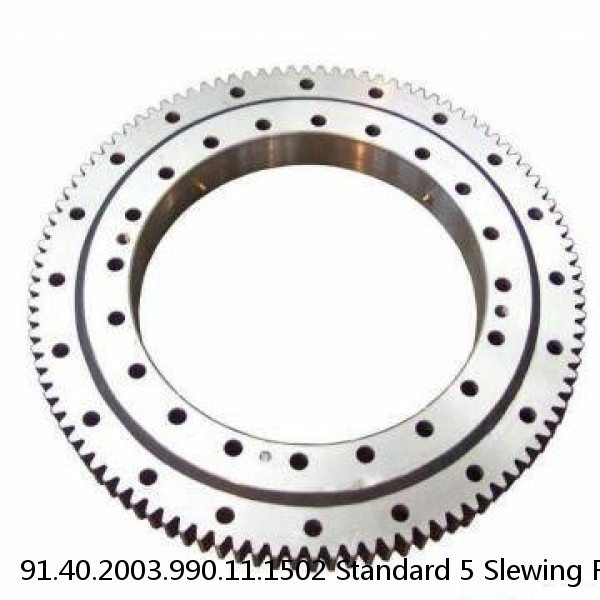 91.40.2003.990.11.1502 Standard 5 Slewing Ring Bearings #1 image