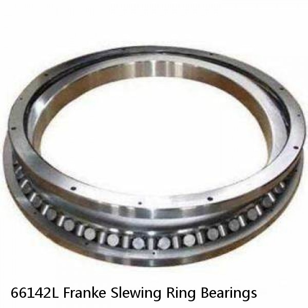 66142L Franke Slewing Ring Bearings #1 image