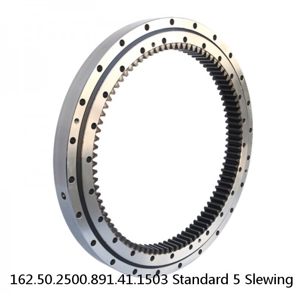 162.50.2500.891.41.1503 Standard 5 Slewing Ring Bearings #1 image