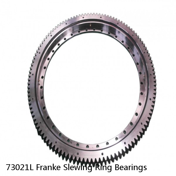 73021L Franke Slewing Ring Bearings #1 image