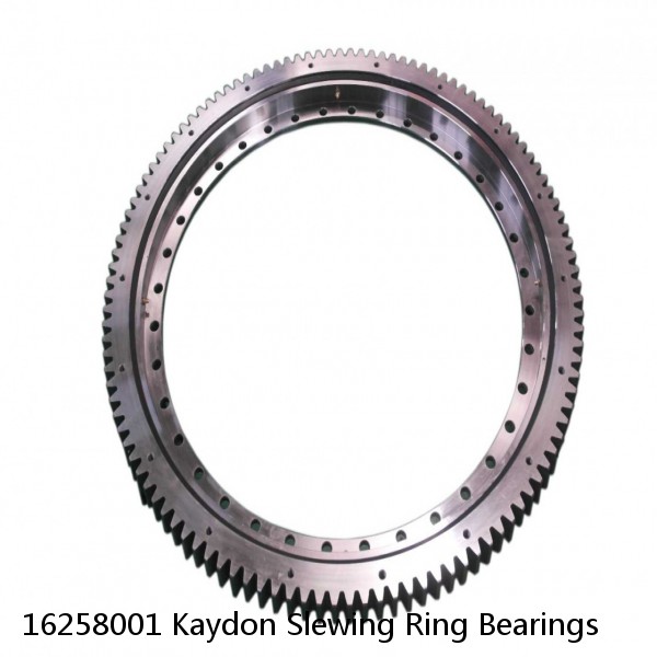 16258001 Kaydon Slewing Ring Bearings #1 image