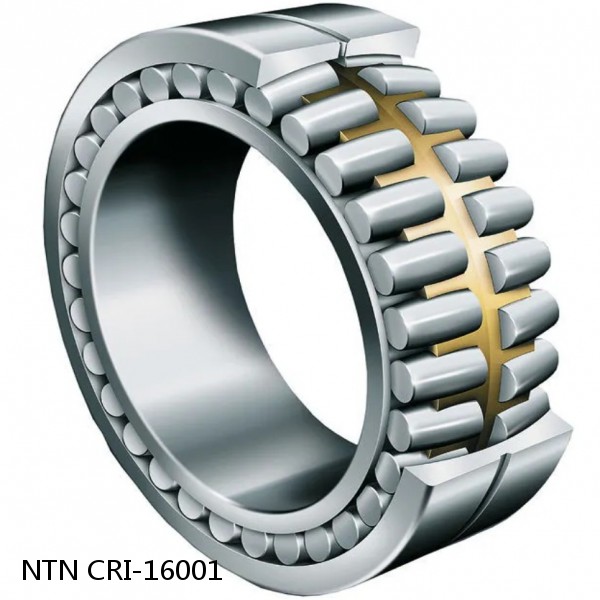 CRI-16001 NTN Cylindrical Roller Bearing #1 image