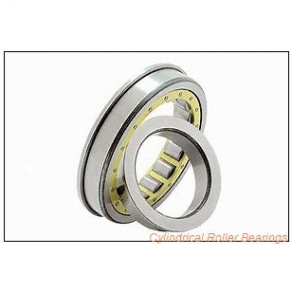 0.787 Inch | 20 Millimeter x 1.85 Inch | 47 Millimeter x 0.551 Inch | 14 Millimeter  CONSOLIDATED BEARING N-204 M  Cylindrical Roller Bearings #2 image