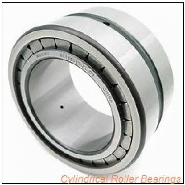 0.669 Inch | 17 Millimeter x 1.575 Inch | 40 Millimeter x 0.472 Inch | 12 Millimeter  CONSOLIDATED BEARING N-203E  Cylindrical Roller Bearings #2 image