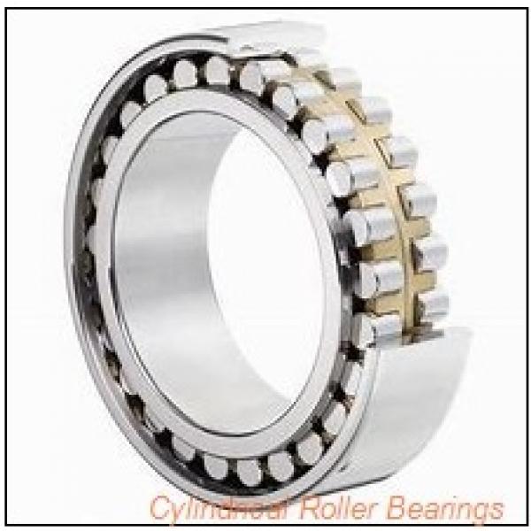 0.787 Inch | 20 Millimeter x 1.85 Inch | 47 Millimeter x 0.551 Inch | 14 Millimeter  CONSOLIDATED BEARING N-204  Cylindrical Roller Bearings #2 image